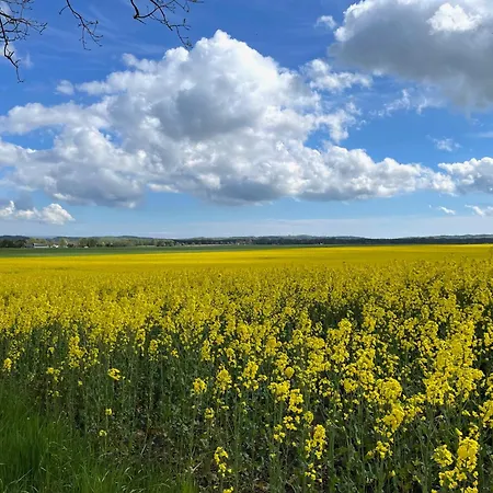 Haus Jahreszeiten 11 * Binz